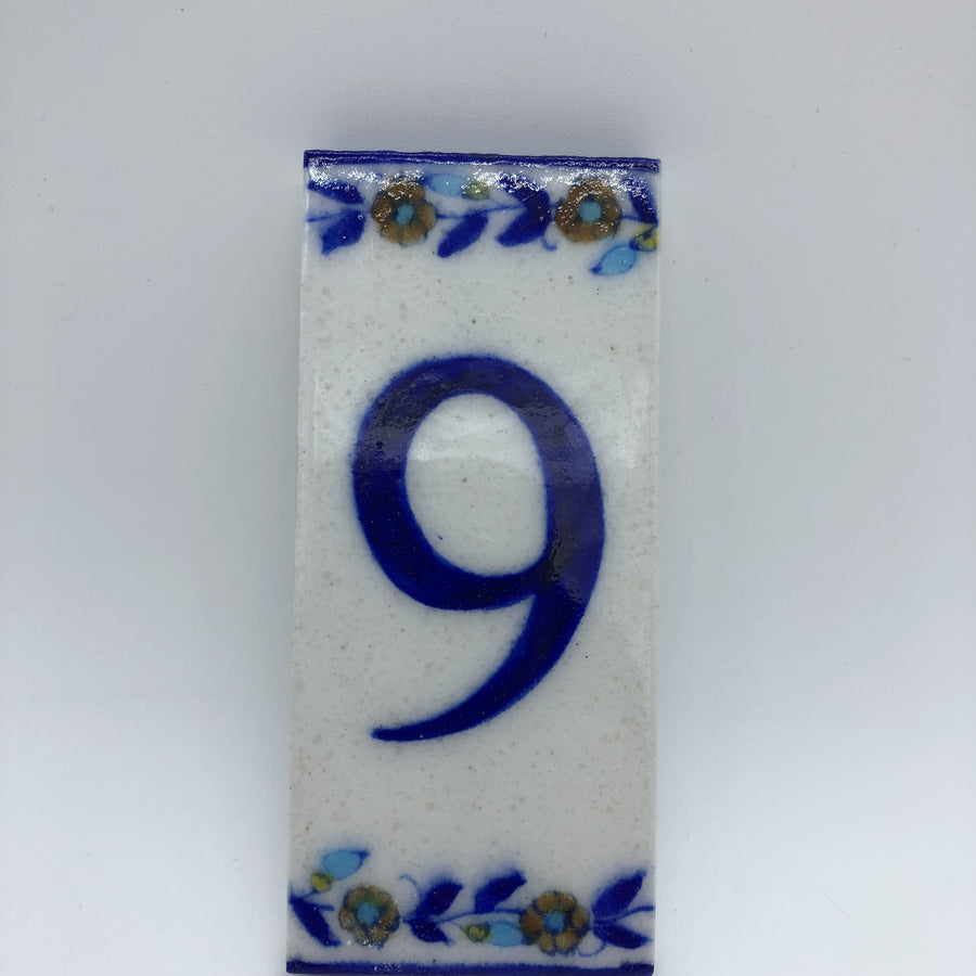 Indian House Number 9